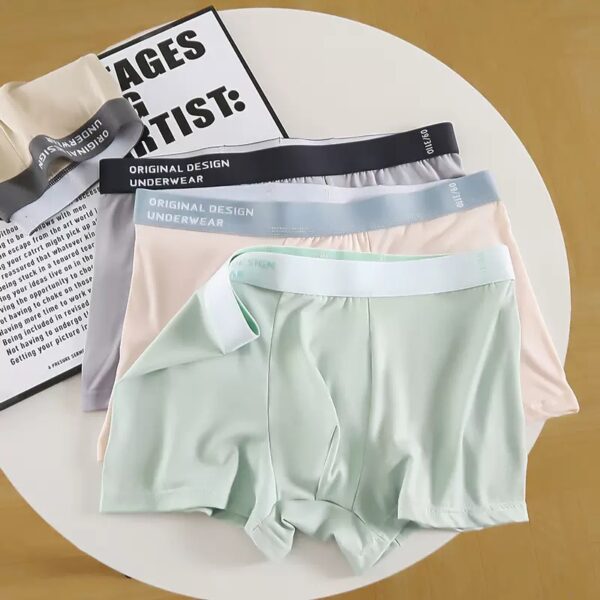 4IN1 QUALITY MEN PANT/BOXER