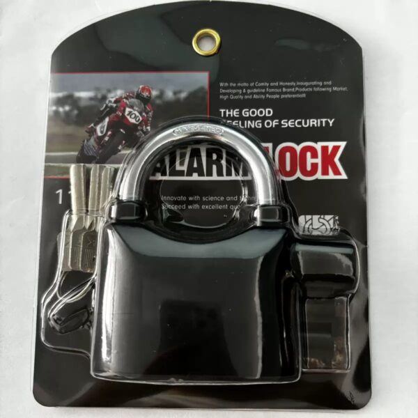 Shoe care washing machine bag