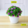 Emerald potted plant home and office decor 3