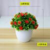 Emerald potted plant home and office decor 3