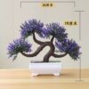 Sapphire potted plant home and office decor 4