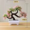 Sapphire potted plant home and office decor 4